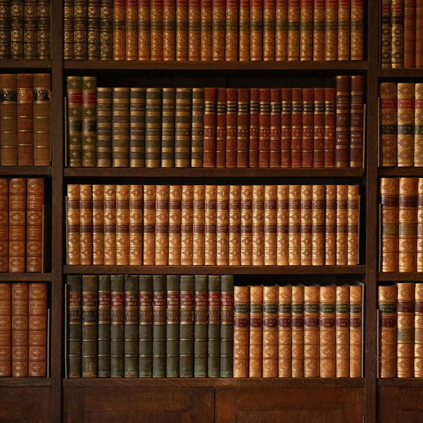 Bound volumes on the shelves of a law library